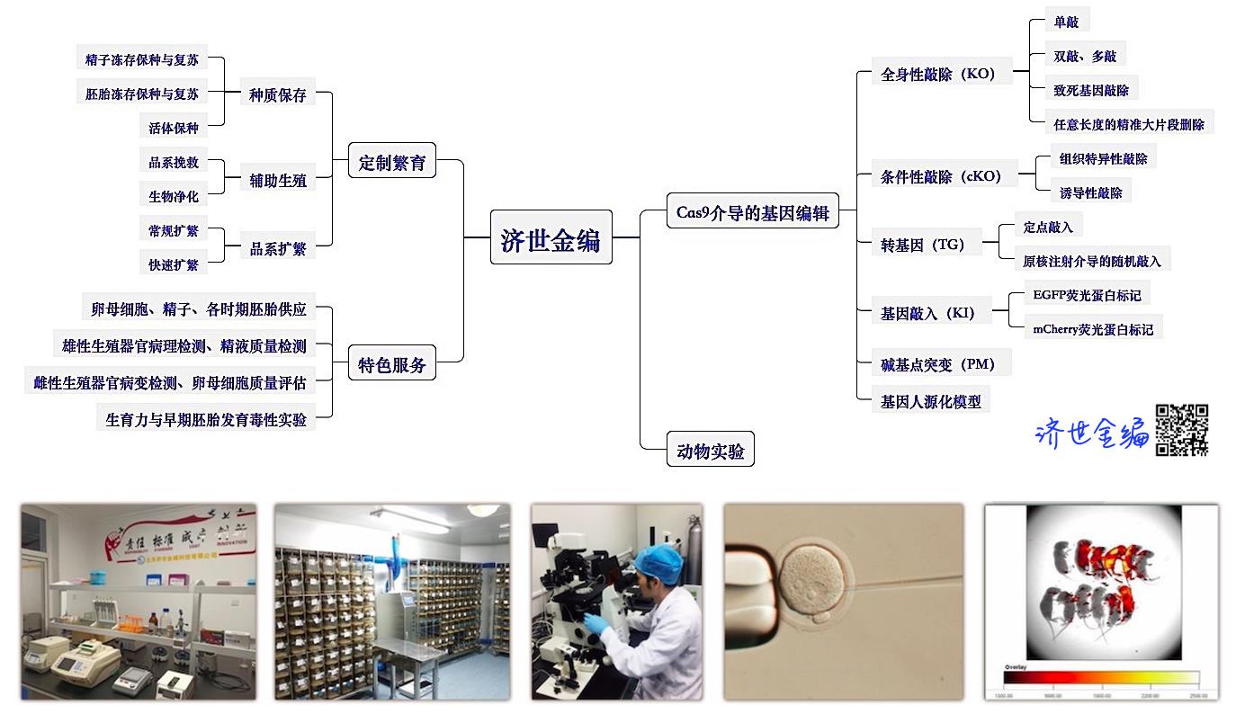 案例展示一