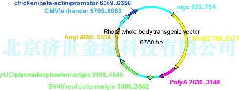 鍥剧墖3.jpg