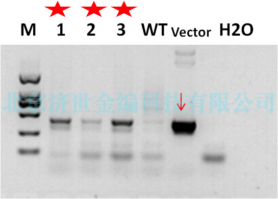 鍥剧墖5.jpg