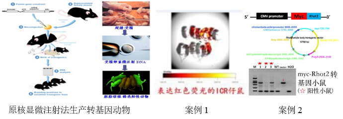 2.PNG