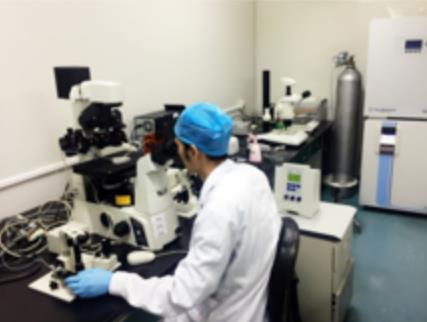 济世金编小鼠基因编辑平台业务介绍