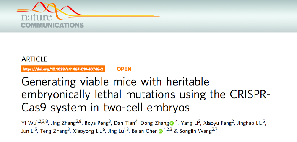 王松灵院士团队在《Nature Communications》报道基于CRISPR/Cas9系统创建二细胞胚胎一步注射法构建致死基因敲除小鼠模型的新技术